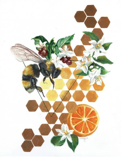 Bee with comb and citrus